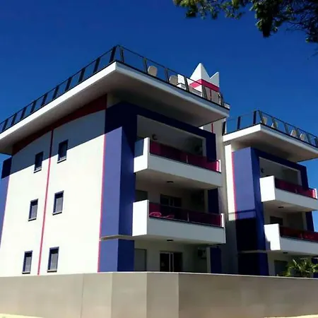 Apartment Need For A Perfect *